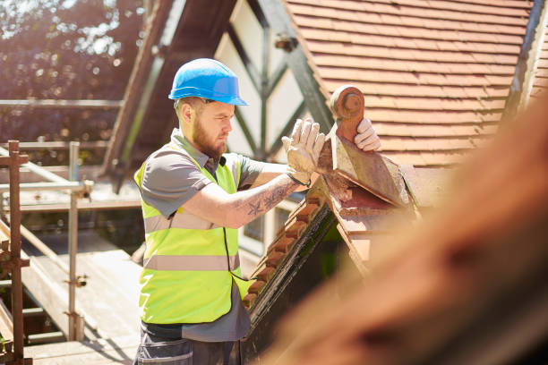 Best Metal Roofing Contractor  in Clarendon Hls, IL